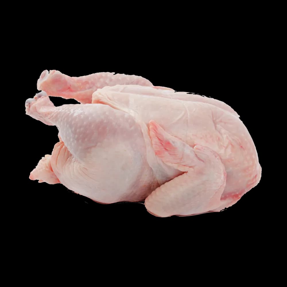 Chicken Meat thumbnail 1